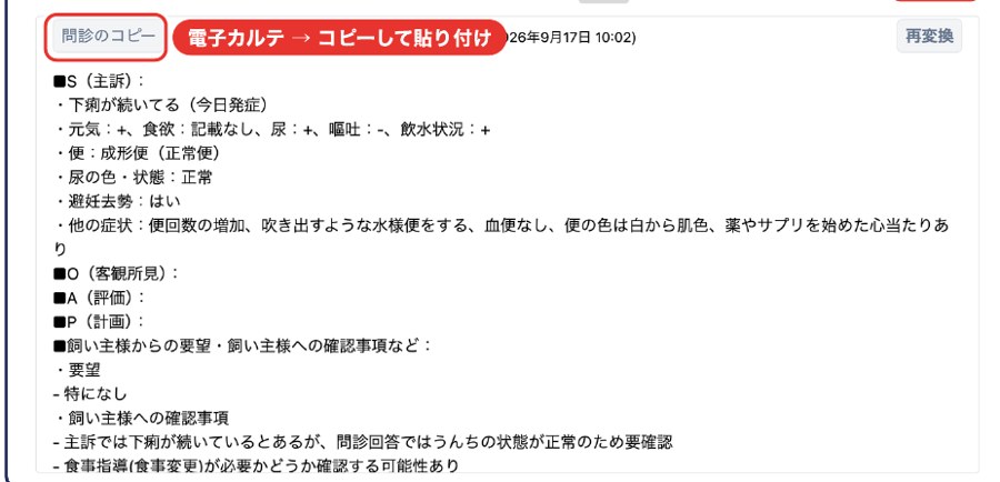 問診内容を院内で確認するデモ画面