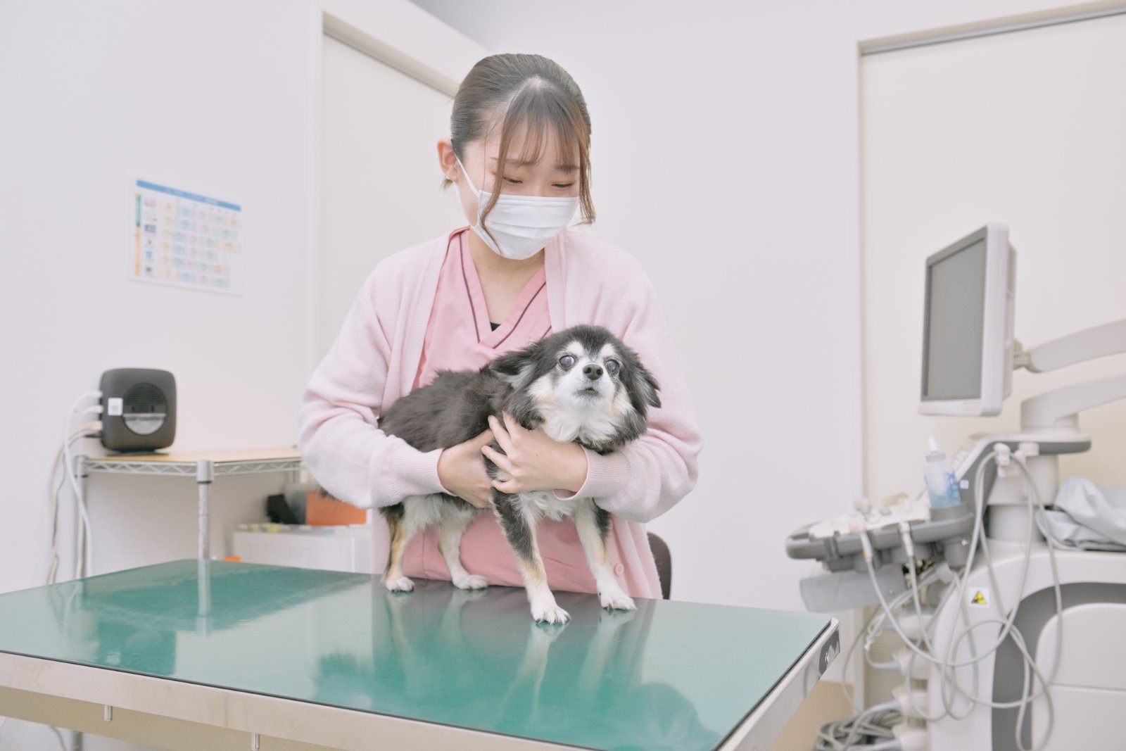 ご提案用の病院紹介写真