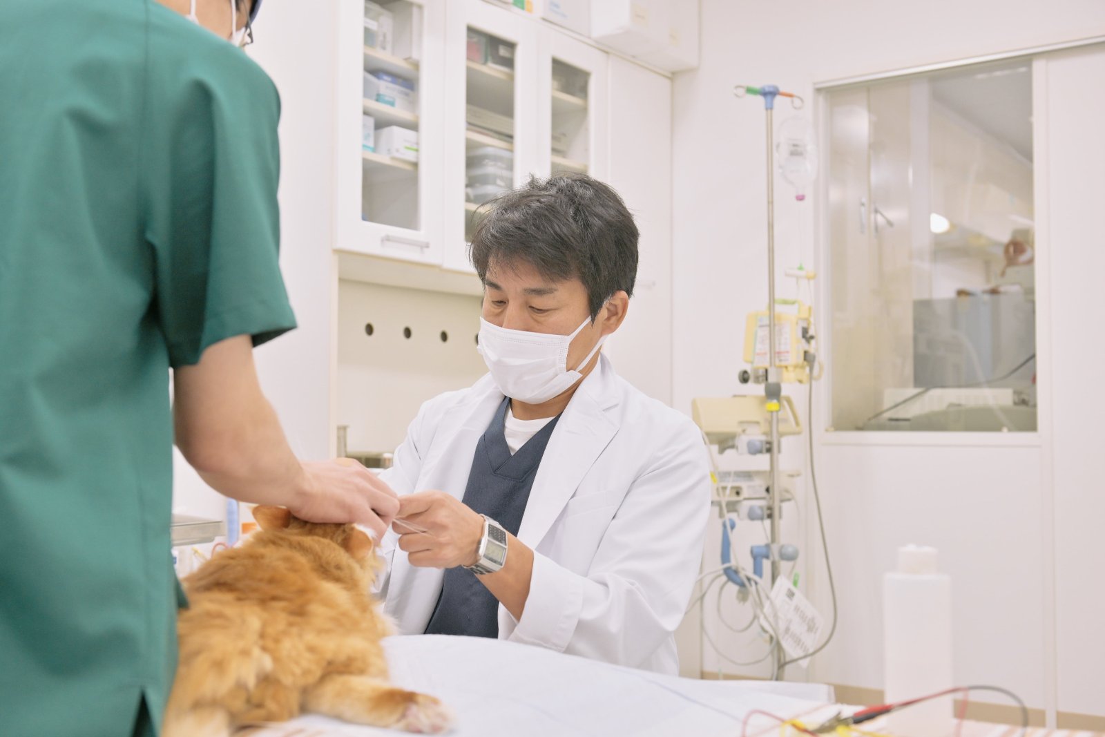 ご提案用の病院紹介写真