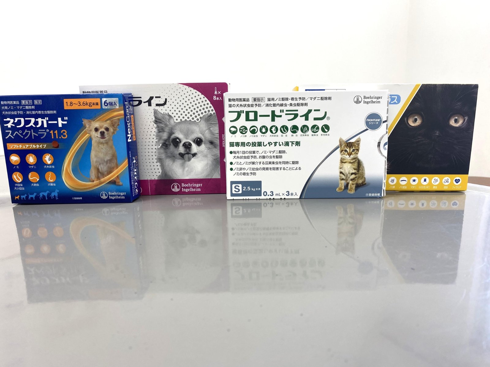 提案用の写真